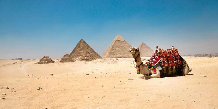 Egypt Giza Pyramids Camel.